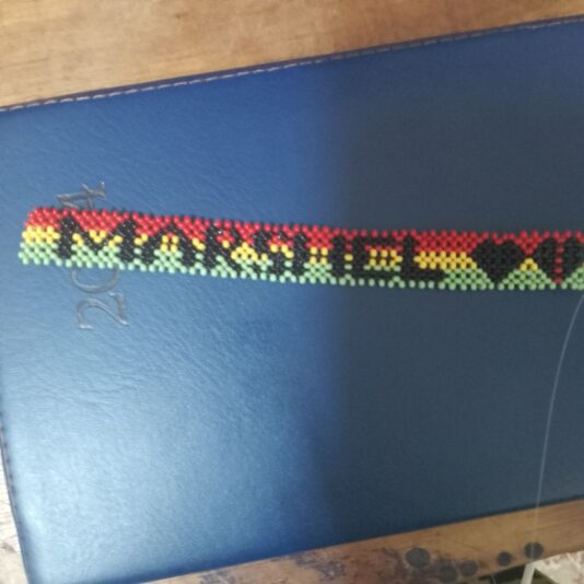 IMG_20250214_190332_485