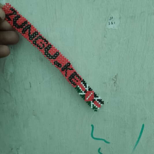 IMG_20250108_191516_215