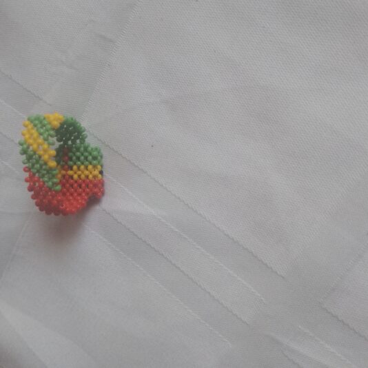 IMG_20241224_123113_354